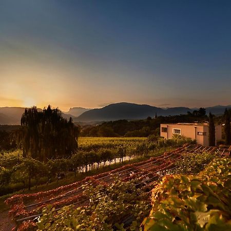 Weingut Stuck Daire Appiano Sulla Strada Del Vino Dış mekan fotoğraf