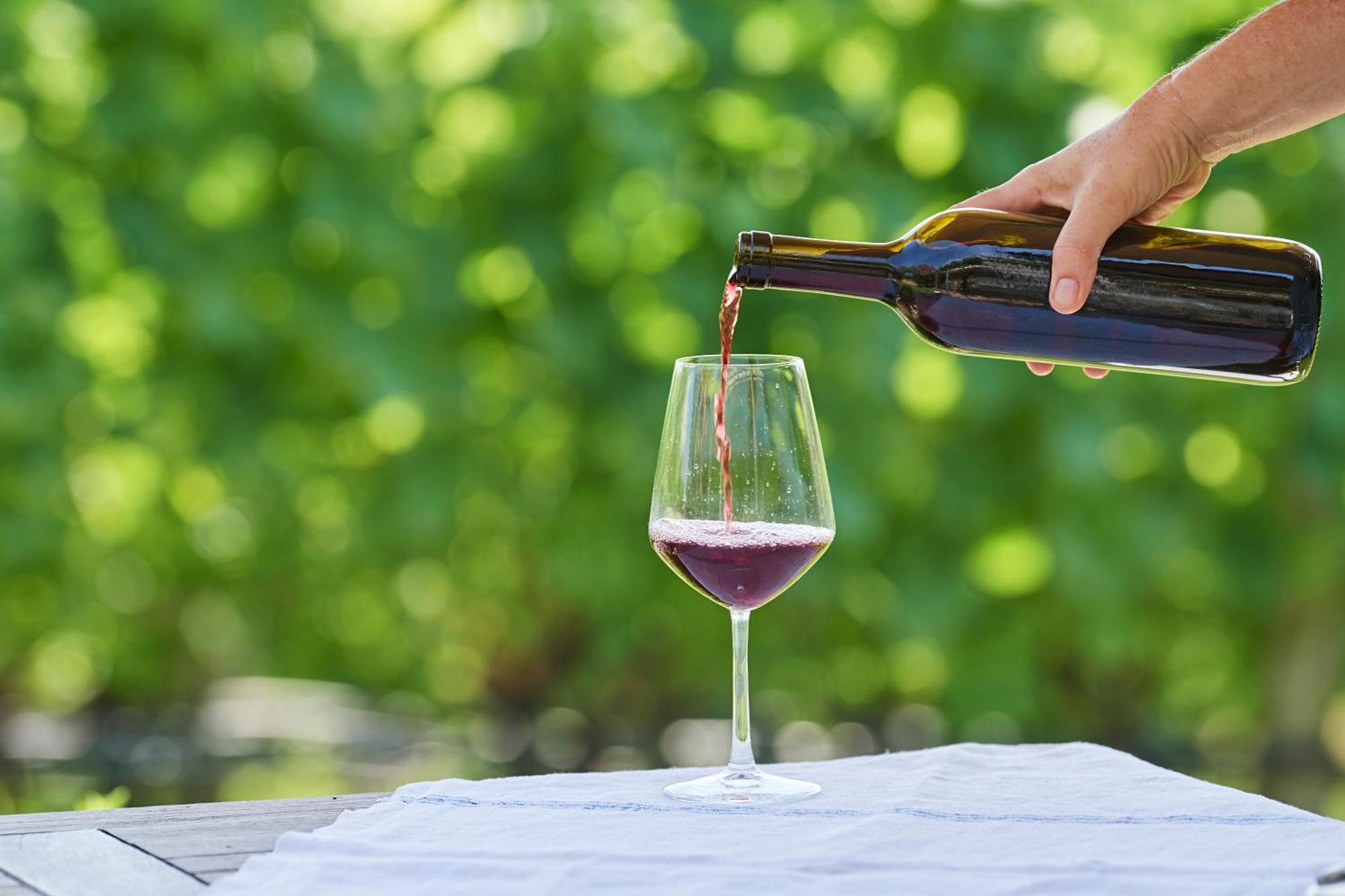 Weingut Stuck Daire Appiano Sulla Strada Del Vino Dış mekan fotoğraf