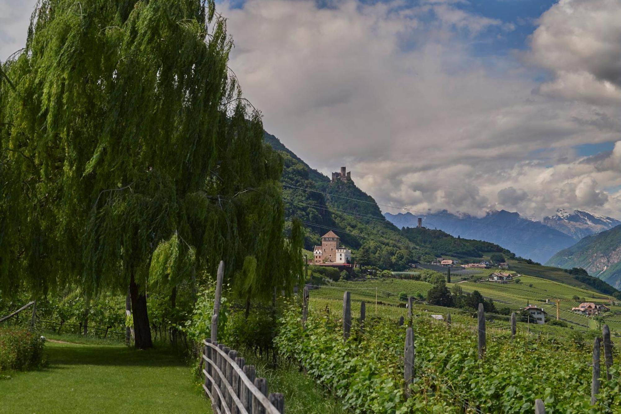 Weingut Stuck Daire Appiano Sulla Strada Del Vino Dış mekan fotoğraf