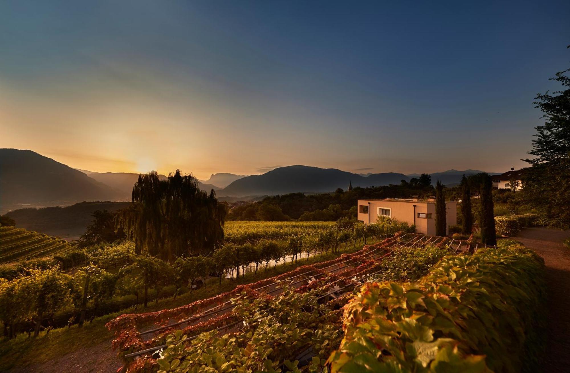 Weingut Stuck Daire Appiano Sulla Strada Del Vino Dış mekan fotoğraf