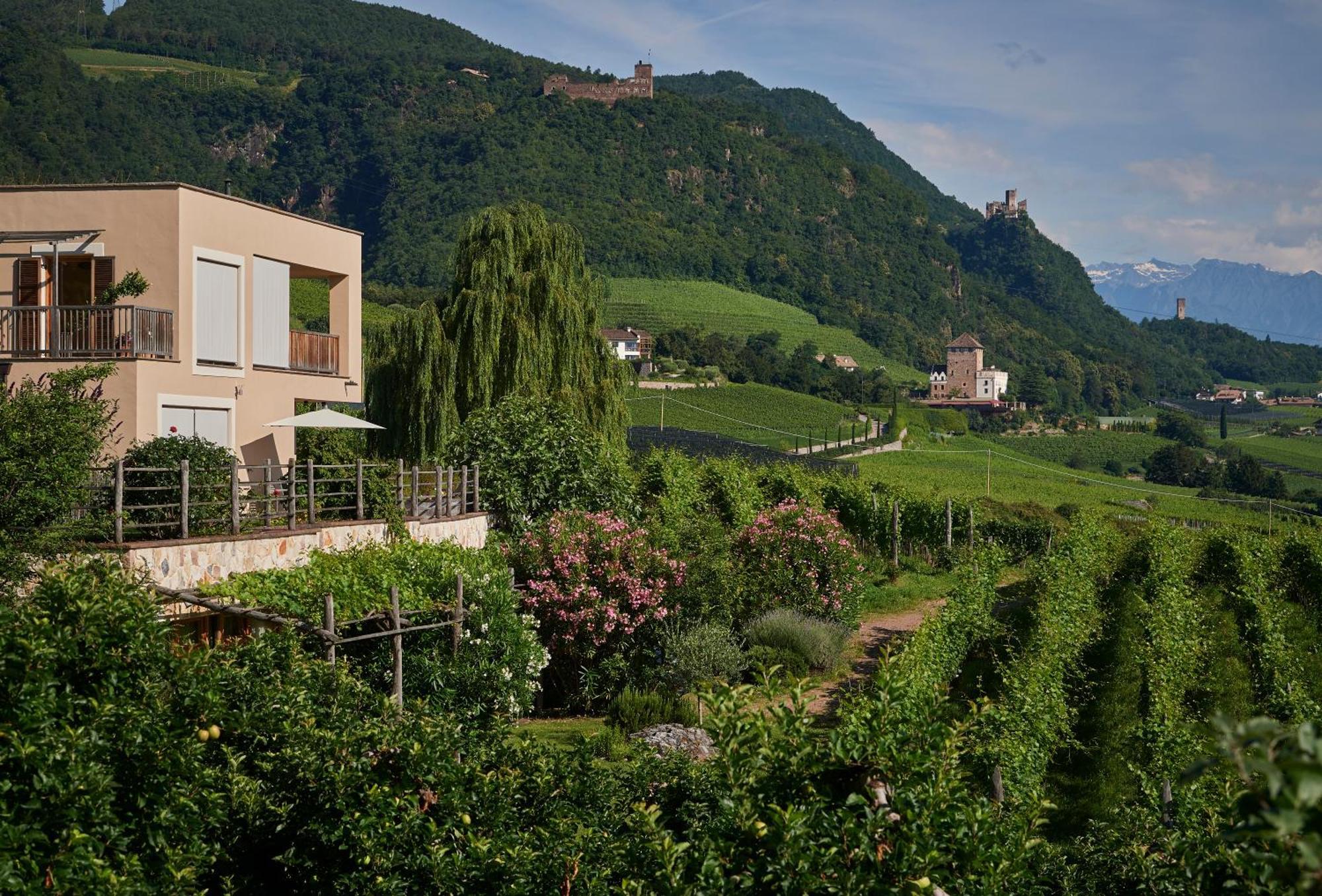 Weingut Stuck Daire Appiano Sulla Strada Del Vino Dış mekan fotoğraf
