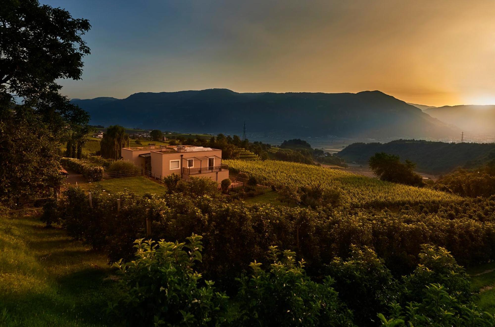 Weingut Stuck Daire Appiano Sulla Strada Del Vino Dış mekan fotoğraf