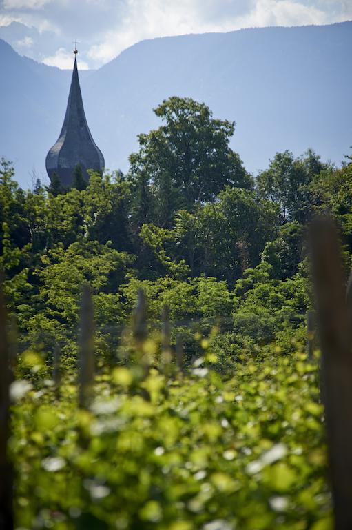 Weingut Stuck Daire Appiano Sulla Strada Del Vino Dış mekan fotoğraf